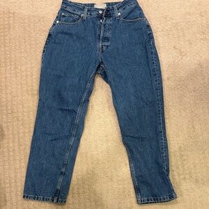 Everlane Blue 90s Curvy Cheeky Straight Jeans
